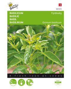 Fijnbladige basilicum