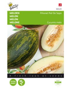Meloen Piñonet Piel De Sapo