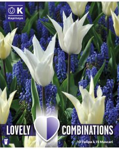 Witte tulp & blauwe muscari mix