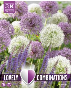 Allium mix