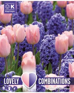 Blauwe hyacint & roze tulp mix